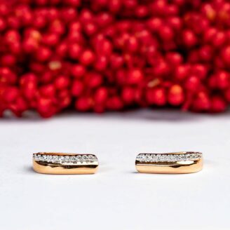 Simple Elegant Earrings