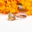oval-light-yellow-2